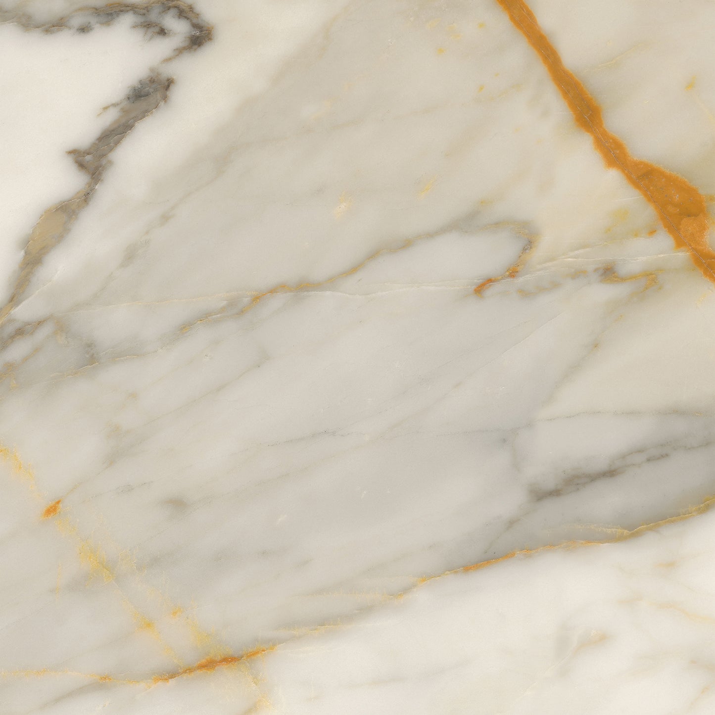 Calacatta Variation