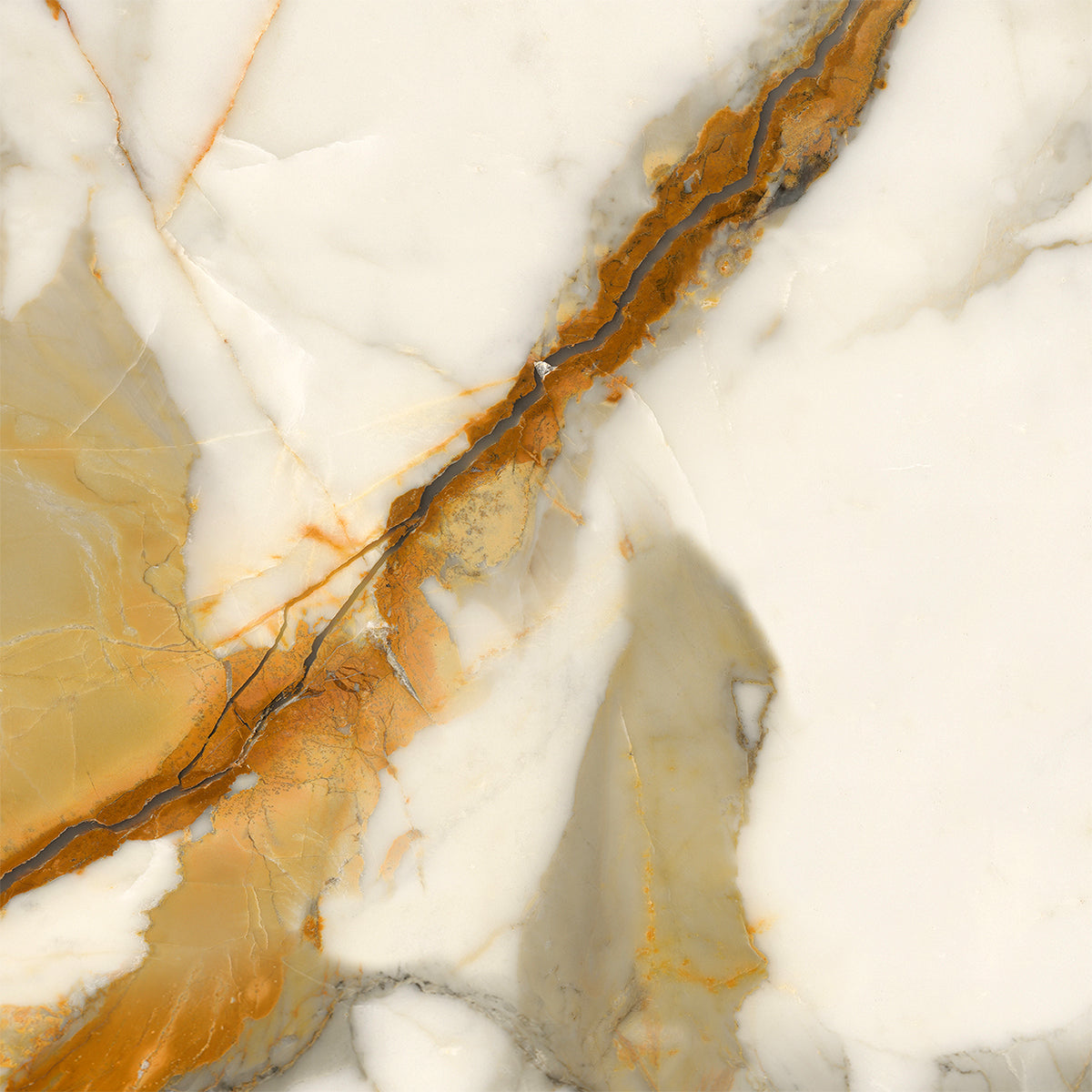 Calacatta Gold